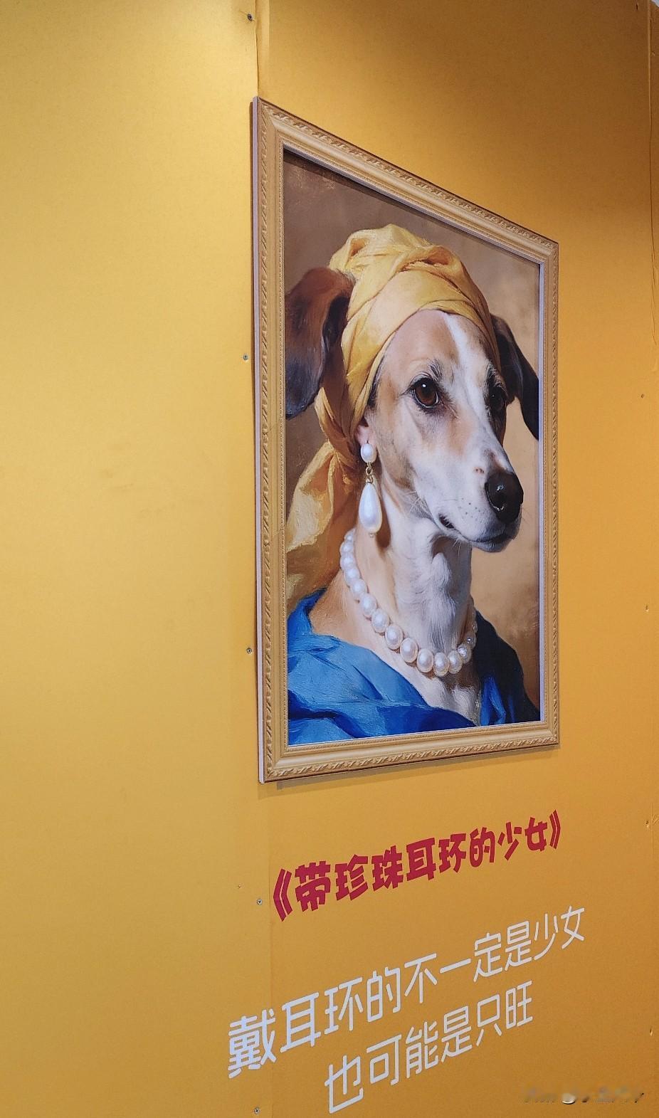 今天吐槽俺家那位老公主，昨天回来就觉得脚不对，一脱袜子两个脚趾缝溃烂，一个很深，
