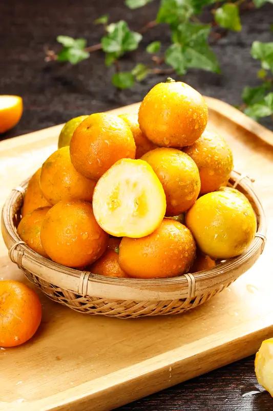 脆蜜金柑能不能种，还得具体情况具体分析。
广西扶绥种畜场2020年引入脆蜜金柑，