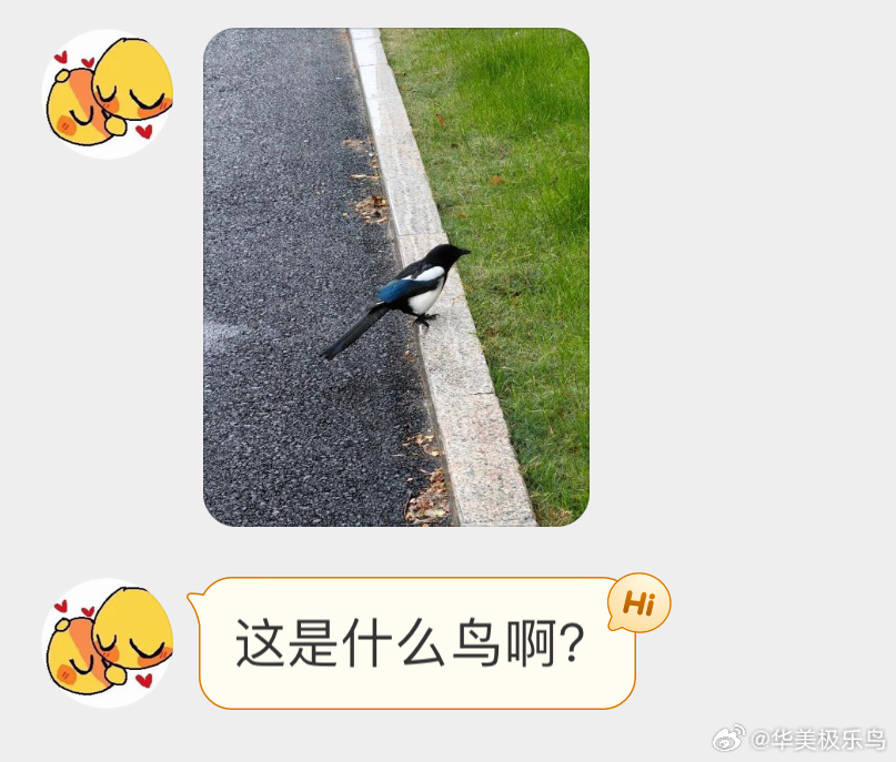 送分题环节～给牛郎织女搭桥的那位 ​​​