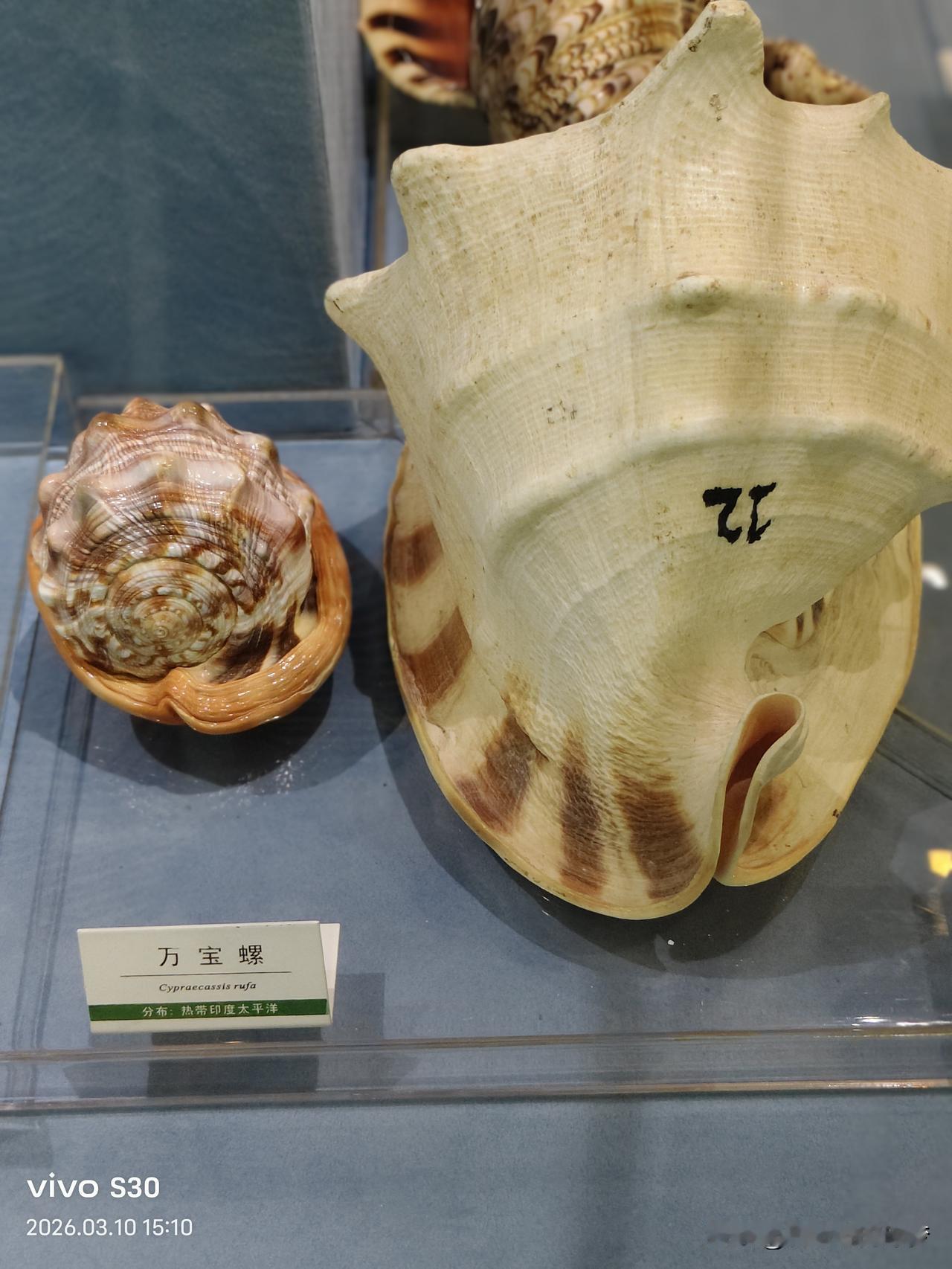 春日生活打卡季