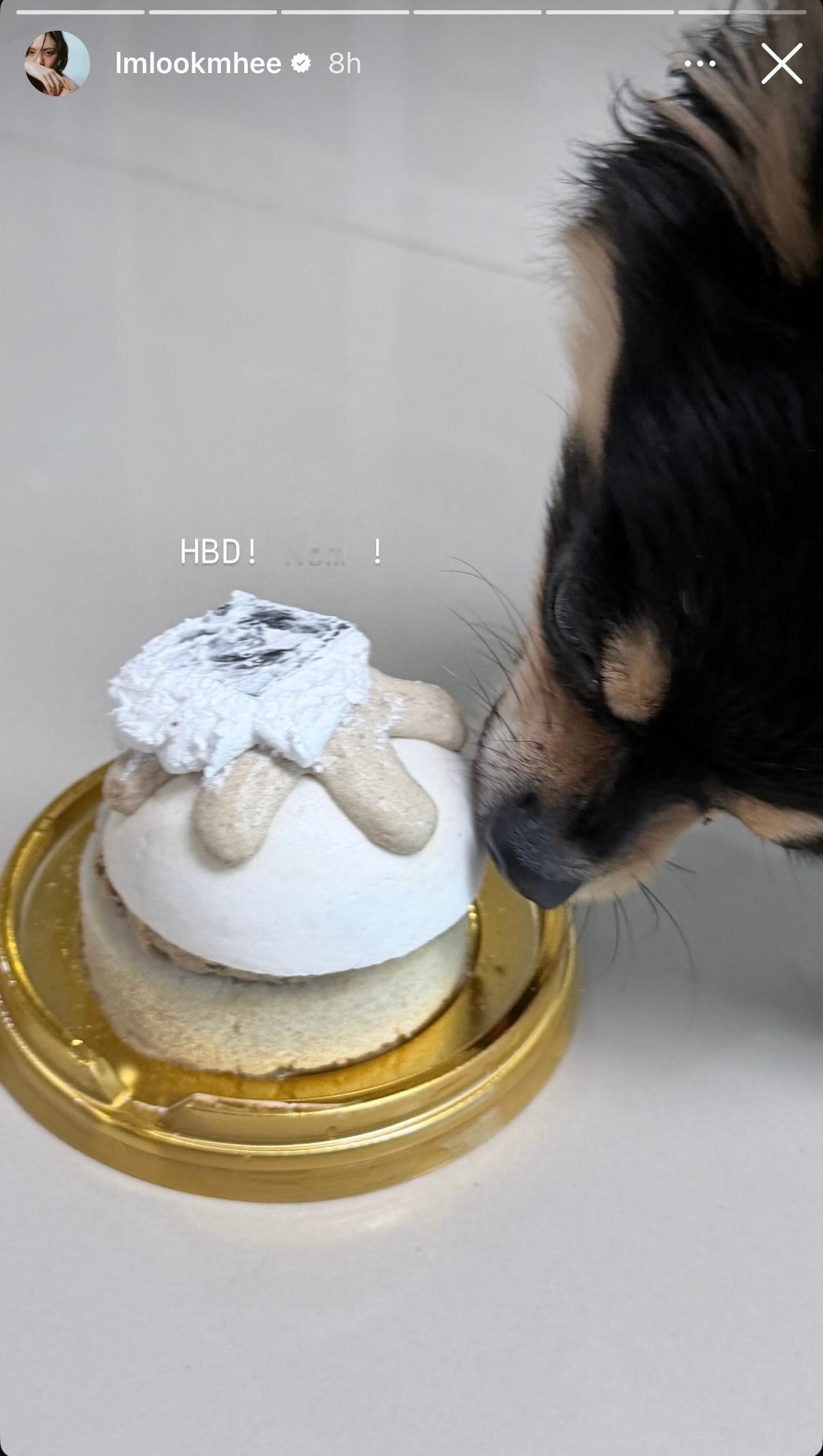LM快拍更新：HBD! Nom ! 