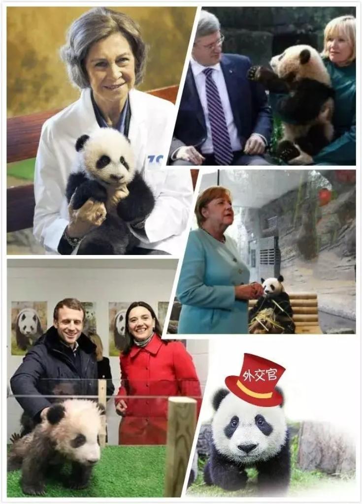 2025年12月，马克龙访华期间，中法续签大熊猫保护国际合作意向书，新一对大熊猫