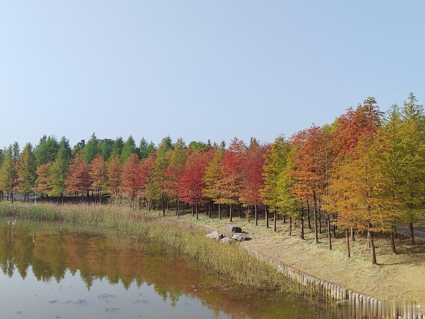 难怪说秋天是色彩最丰富的季节！