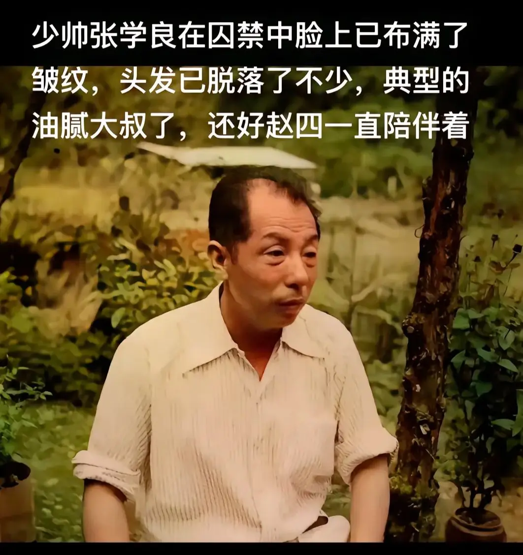 我替少帅发一个吧。