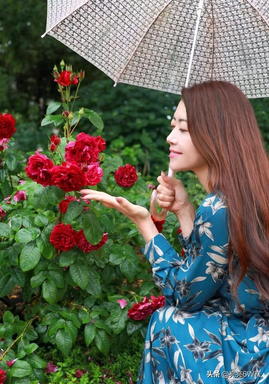 美女明星照分享