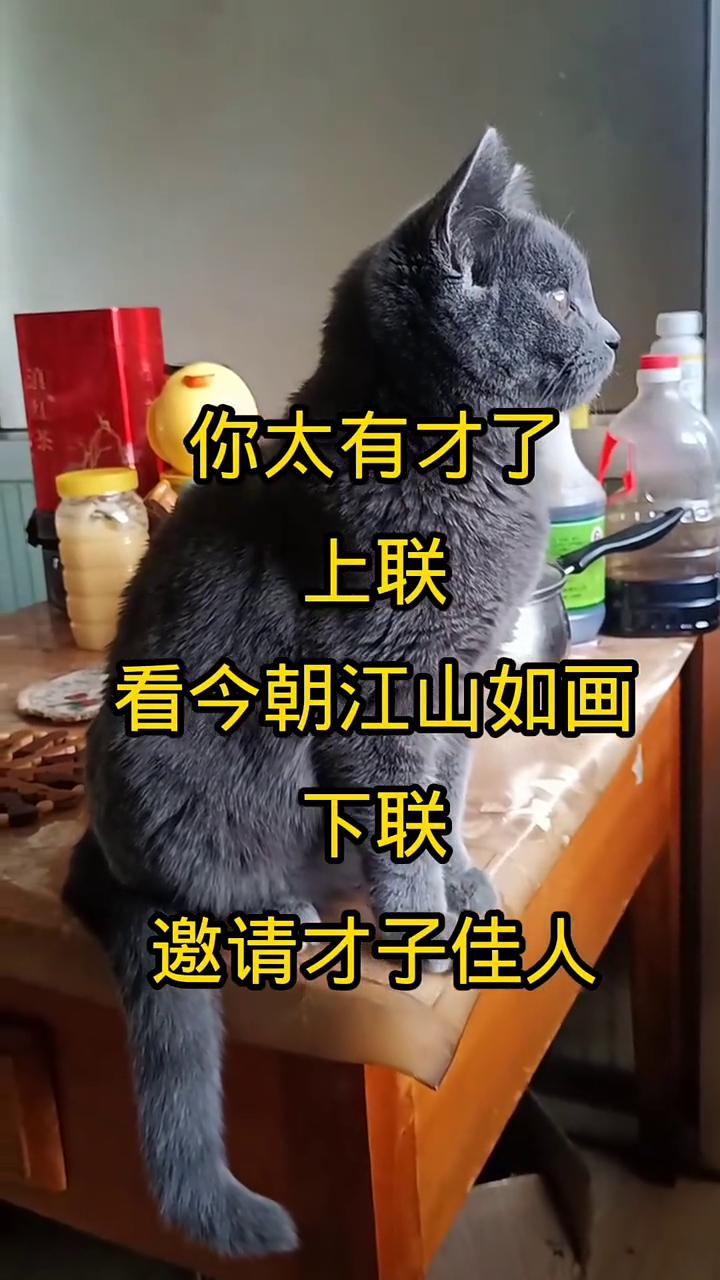 你太有才了。
上联：看今朝江山如画。下联：邀请才子佳人。