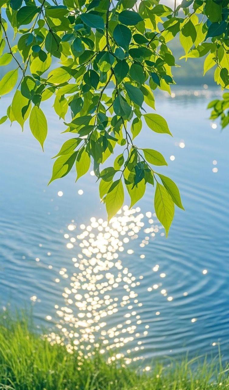 宽厚只是高贵灵魂的怜悯之情罢了。——尚福尔，《格言与思想》：77