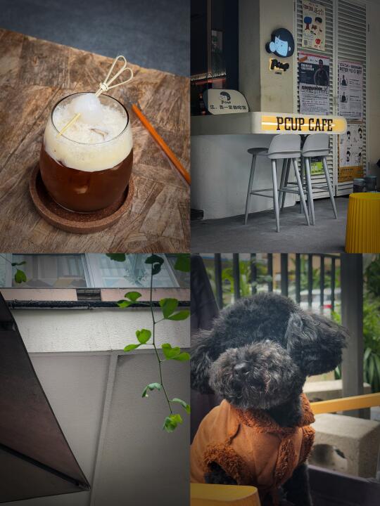 昆明新发现｜社区里的i人秘密基地☕