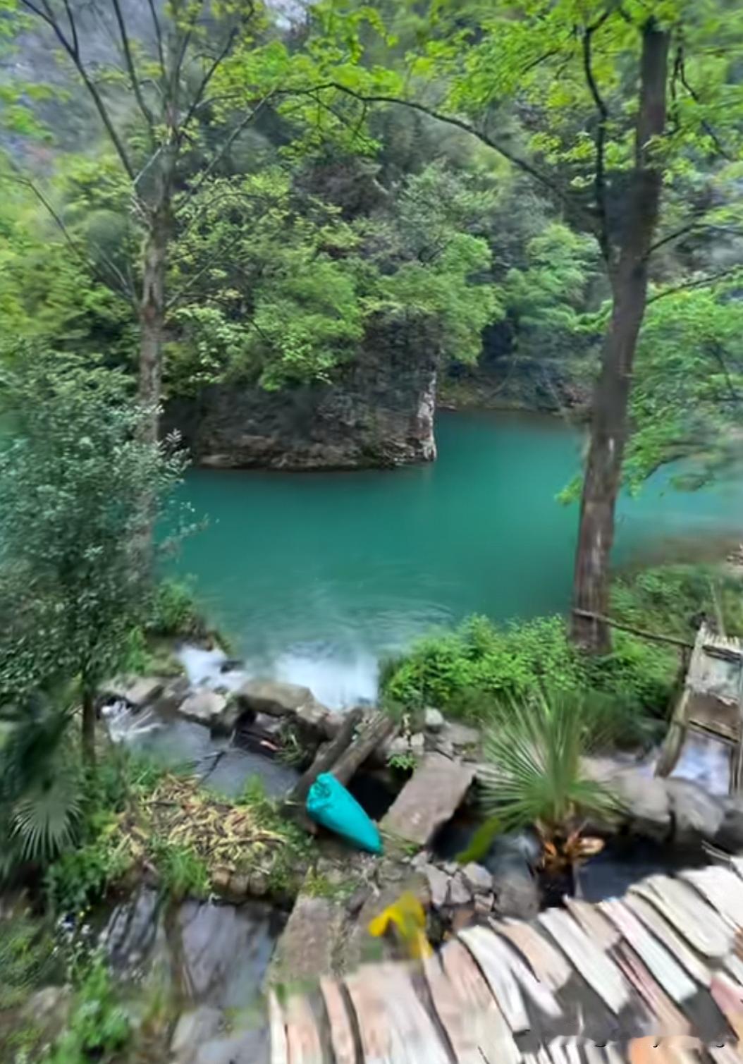 发一张你相册最绿的图片