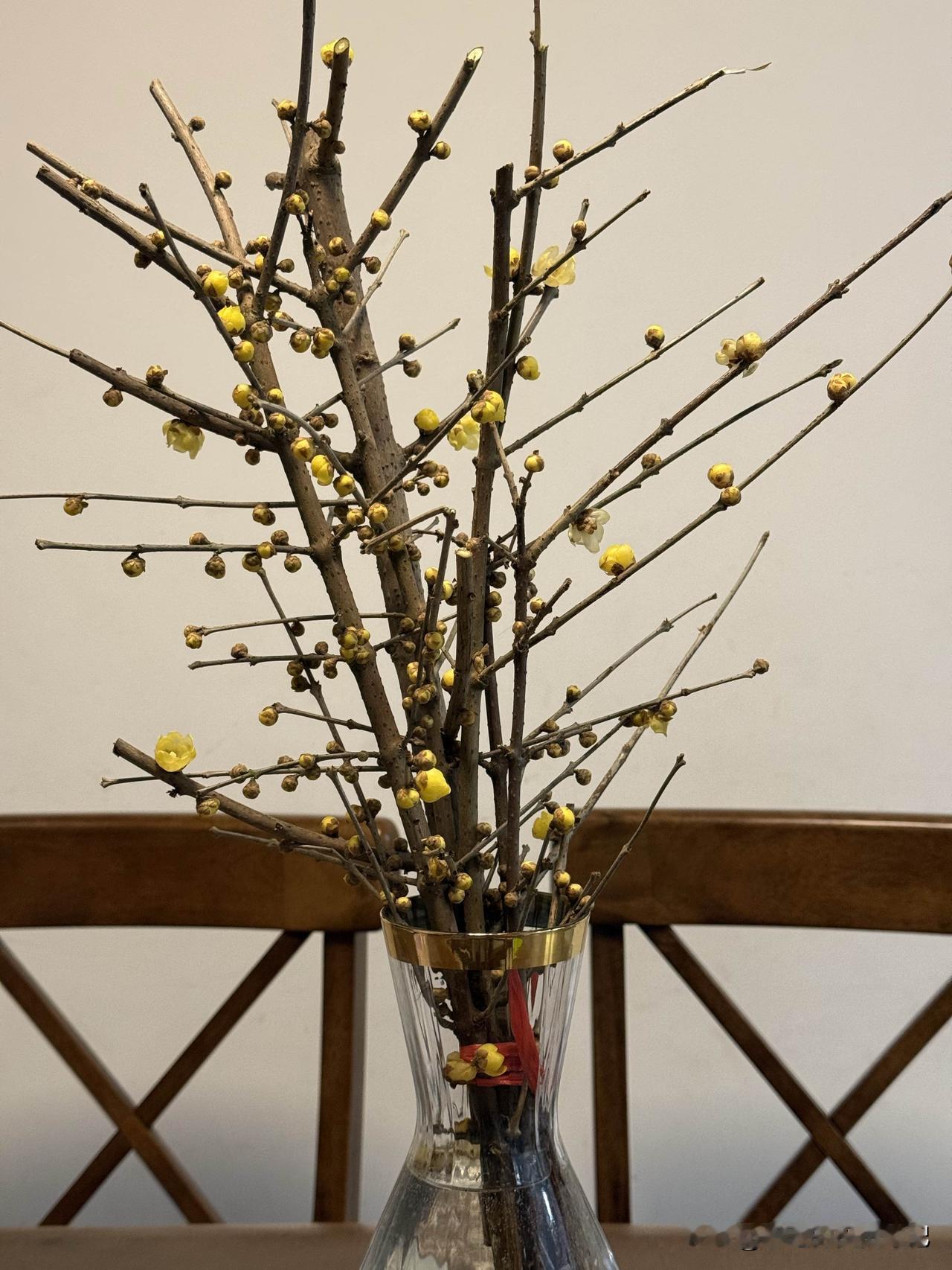 避免自己的精力被作为人最原始的欲望牵引，沉迷在原始人的快乐中。