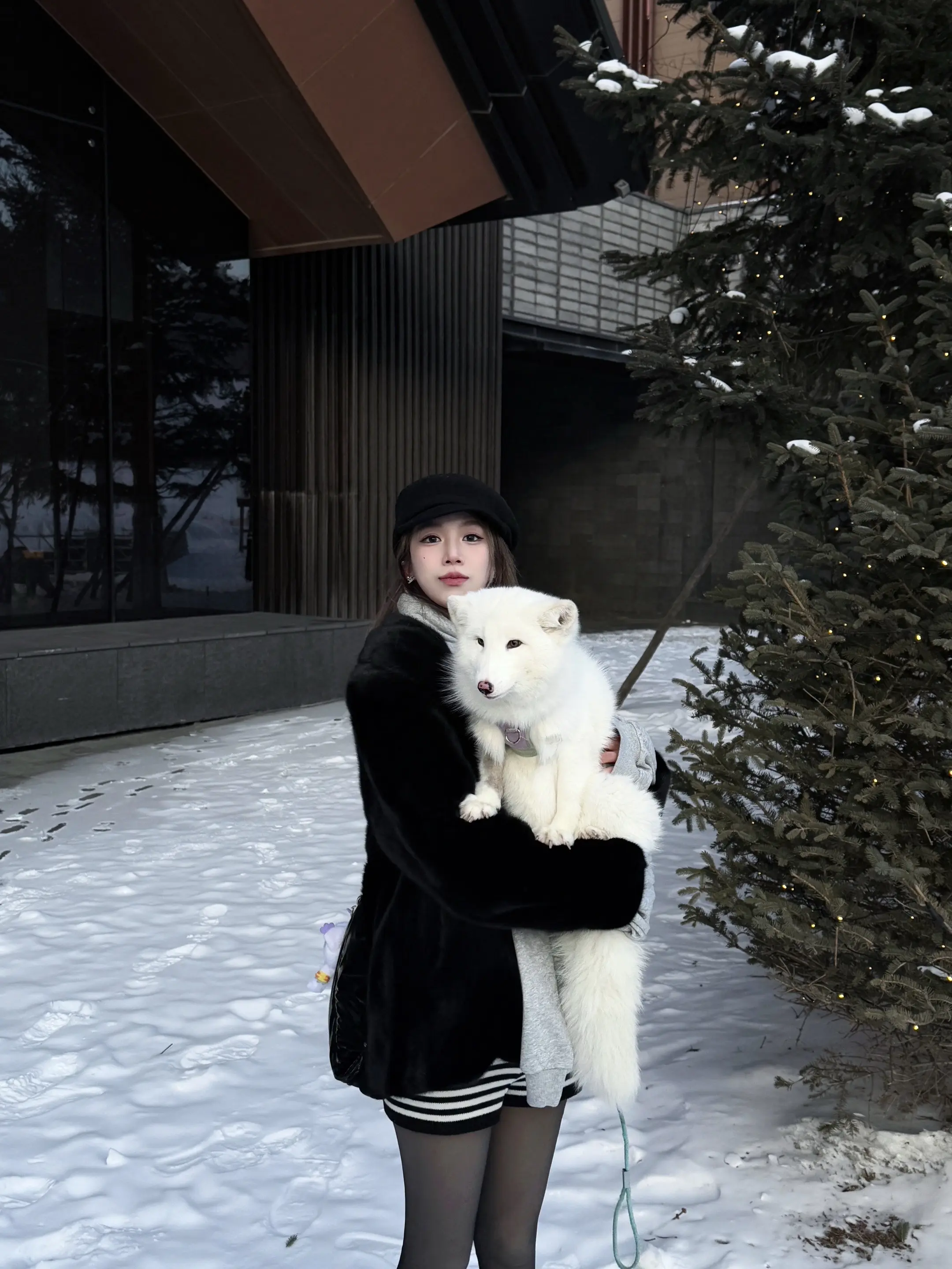 哇！！！ 是小狐狸耶❄️