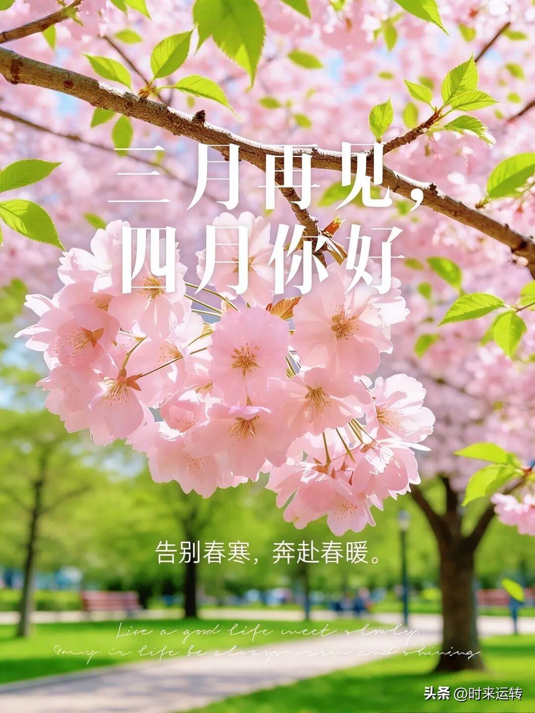 3.31双色球
第一注:5 9 14 26 27 30 5
第二注:2 6 8 