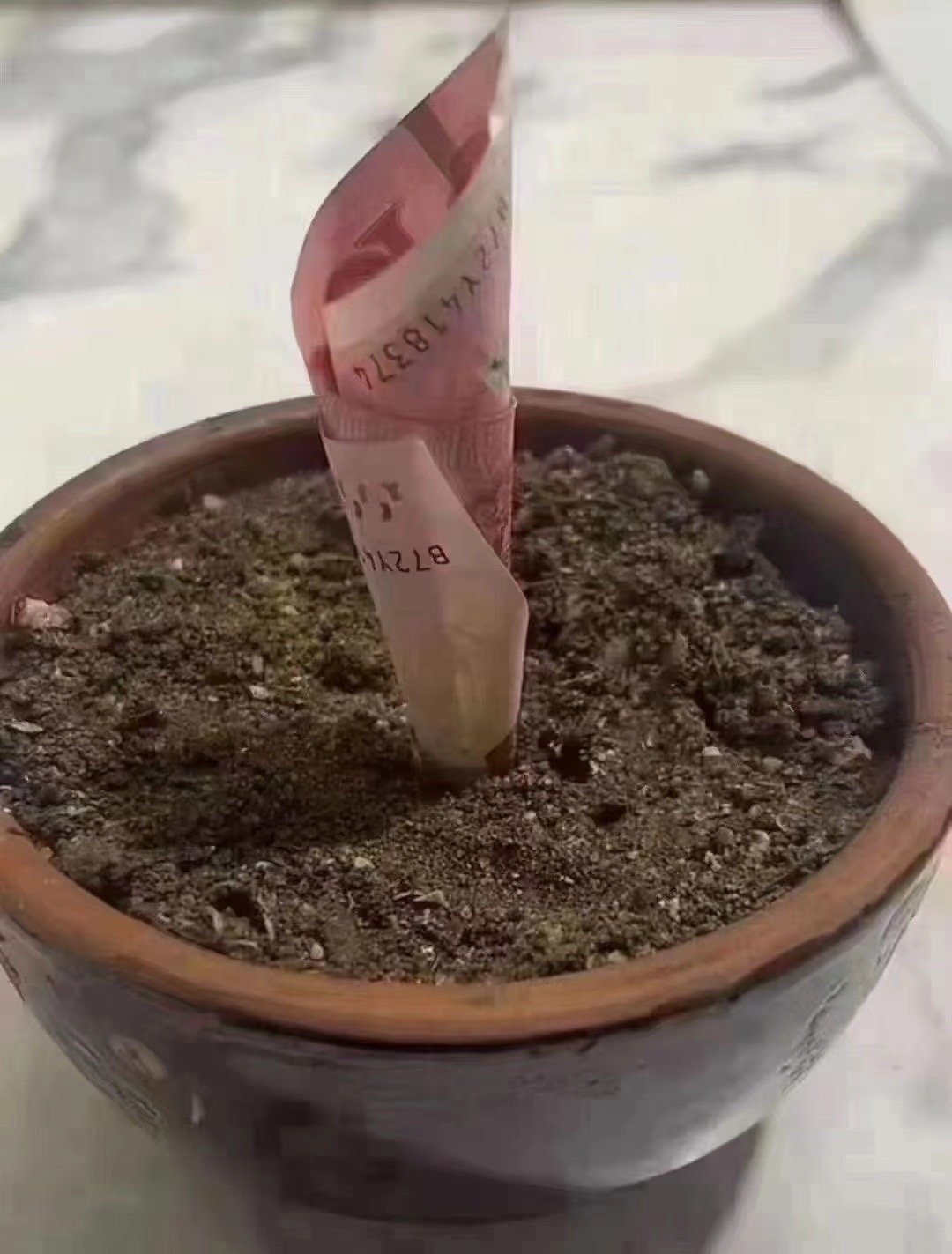 3.12植树节种下希望种子 好运就会萌芽💰 ​​​