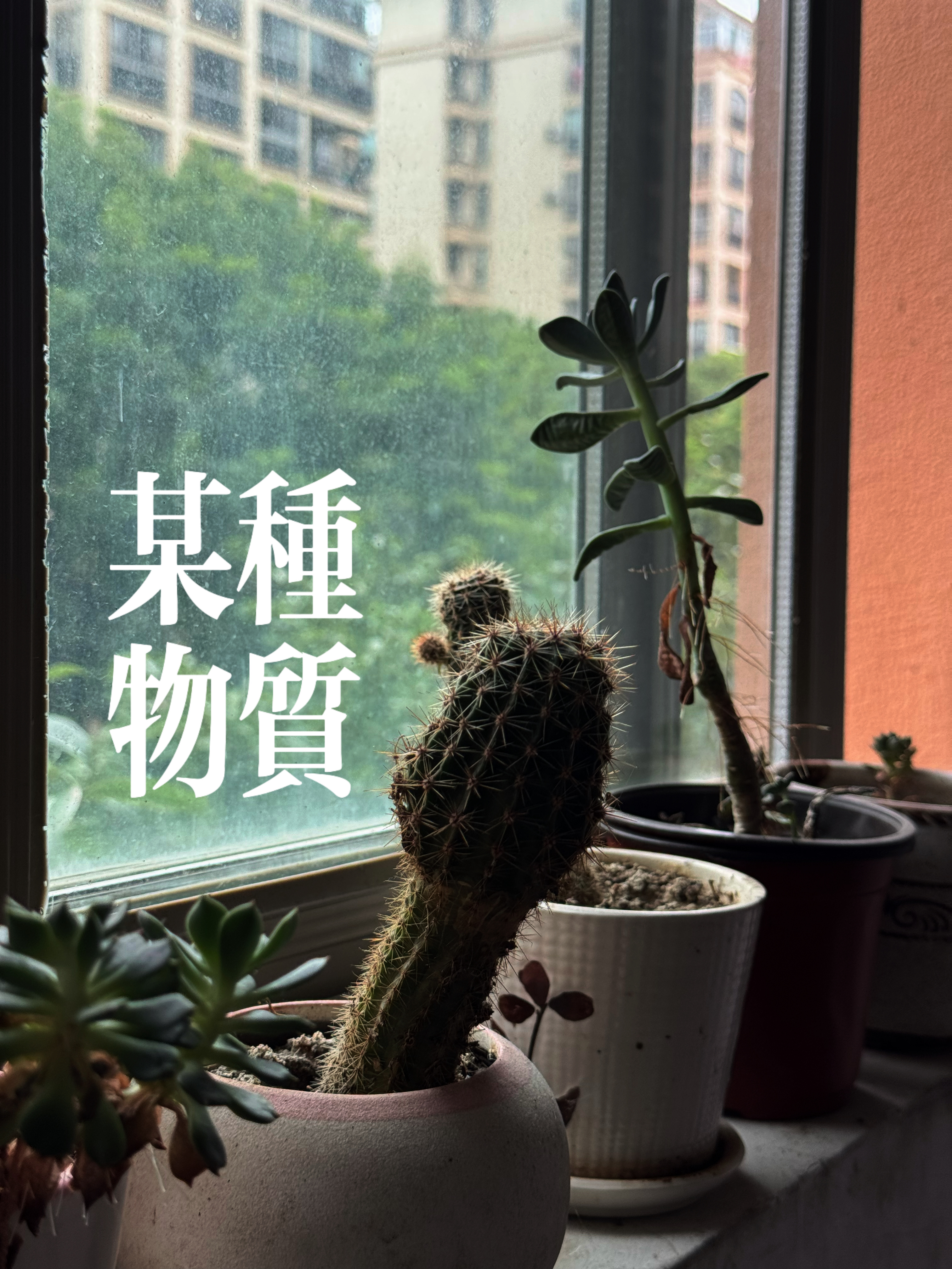 P人低精力的周末就是健身，找朋友充电，漫无目的的逛吃。 
