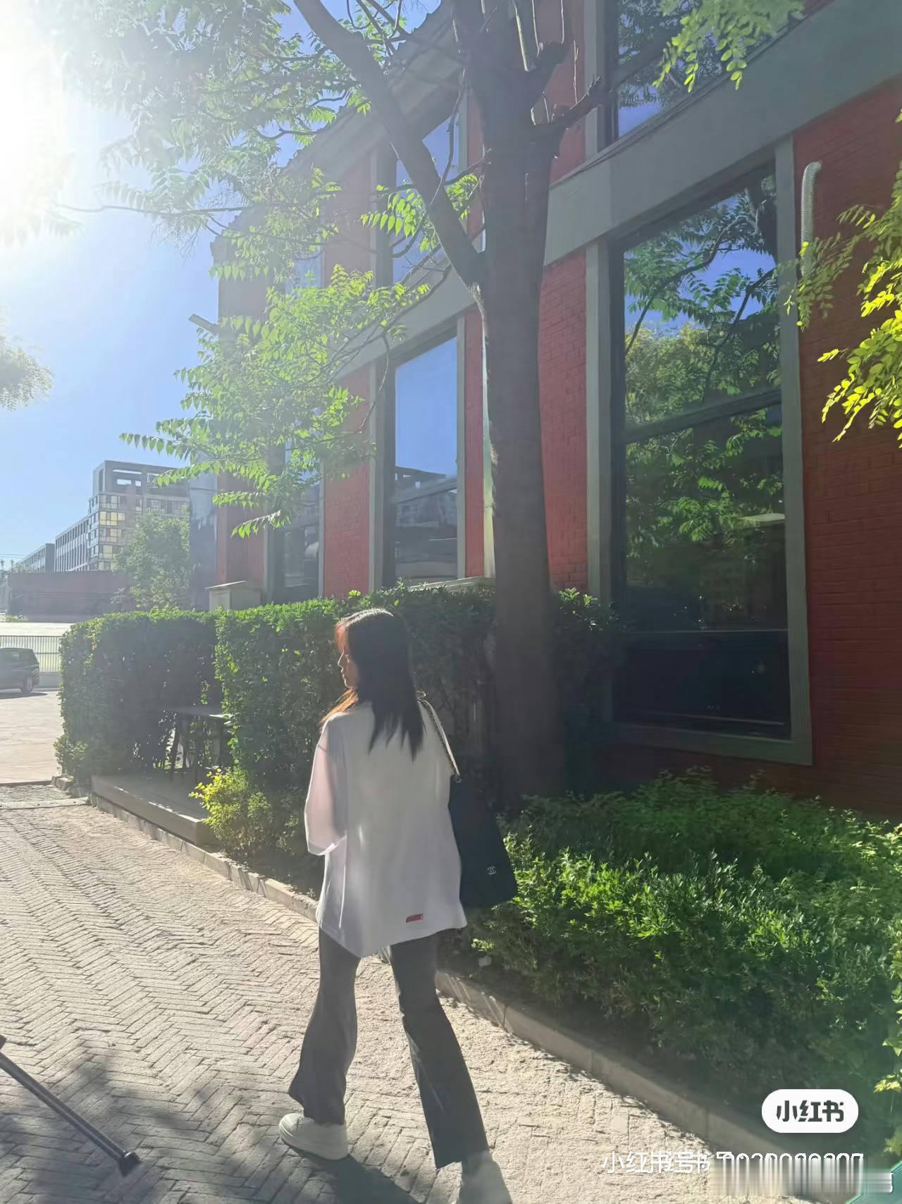你们觉得网传的是真的吗？白鹿方六连辟谣白鹿学历江苏文投 白鹿
