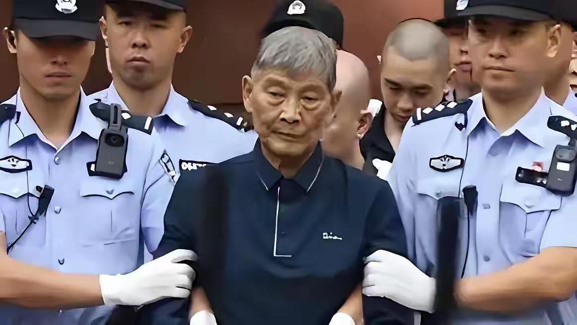 钱再多也没能救白家父子，如今他们已经伏法，不知道当他们走的那一刻这爷俩个想了什么