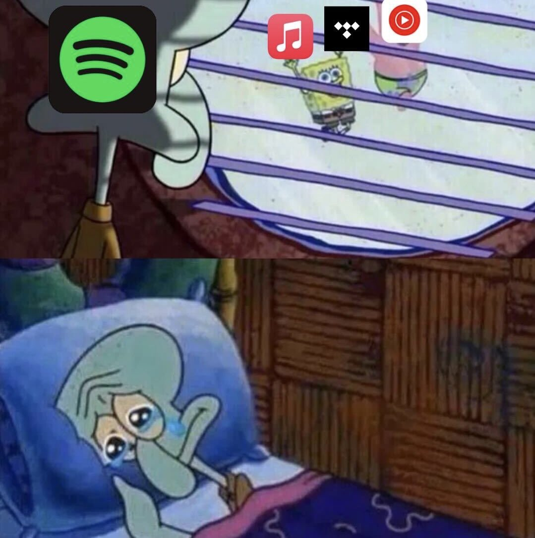 2025AppleMusic年榜 笑死~~当各音乐平台发布年榜总结，此刻Spot