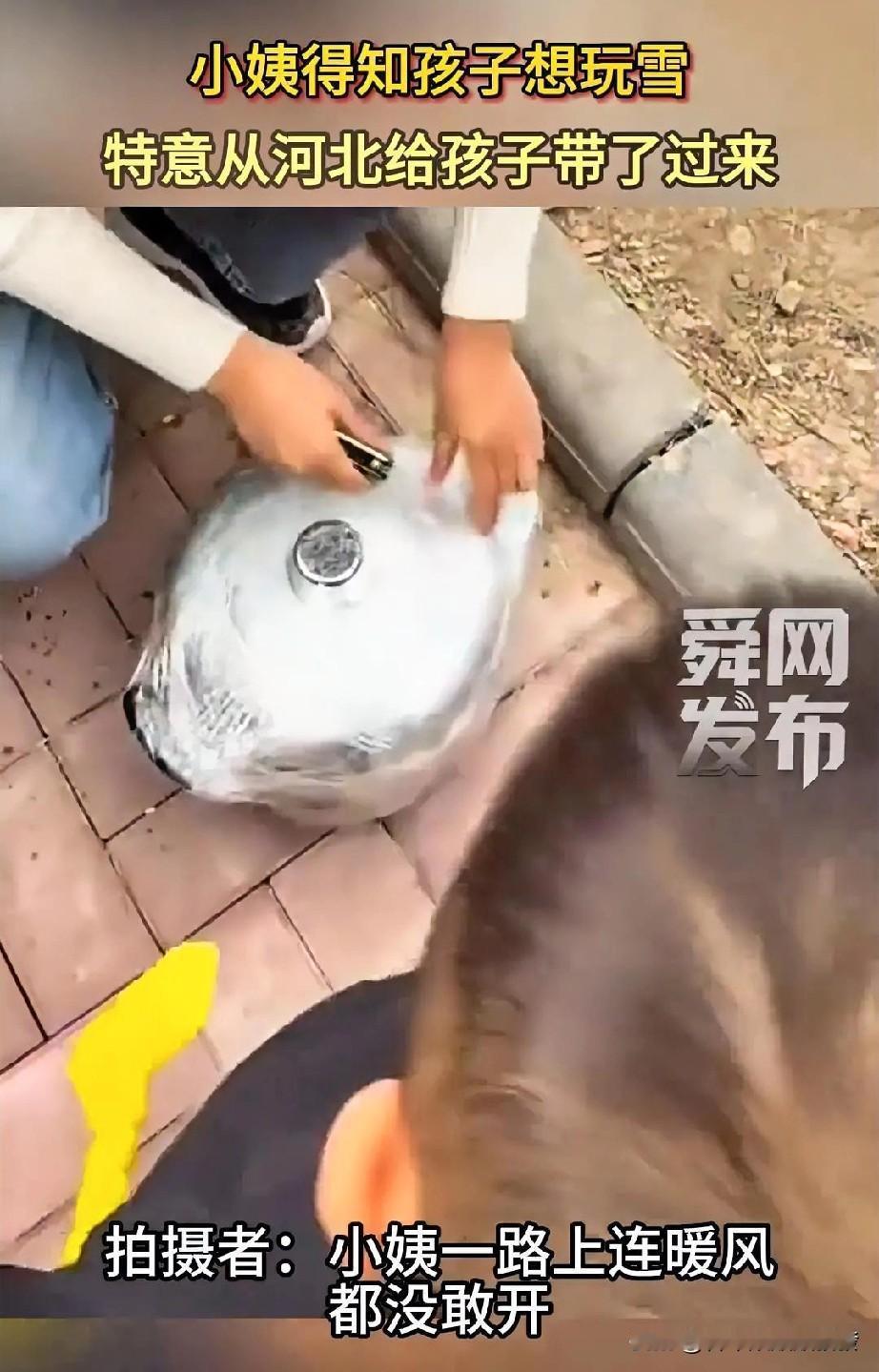 女子从车里抱出来一个裹着野餐垫的东西，放到地上打开后，原来是一口锅，而且锅外边还