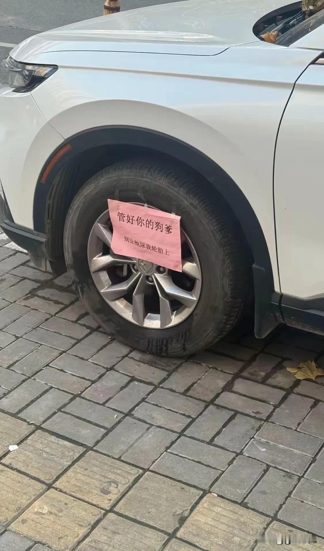 一则特殊的告示，惹起了小编的好奇。在一个地下车库，一辆白色的suv车轮胎上面，贴