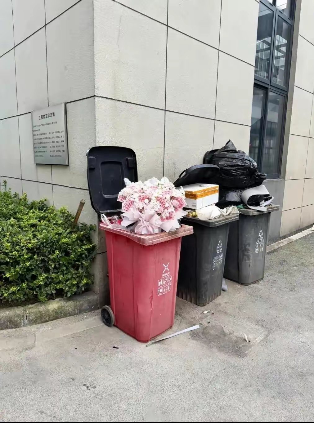 这能不能捡？ 