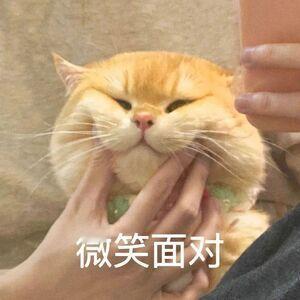 本以为明天早上九点钟看不了中国男排的比赛了！但真的就是老天都安排我看我领导前天跟