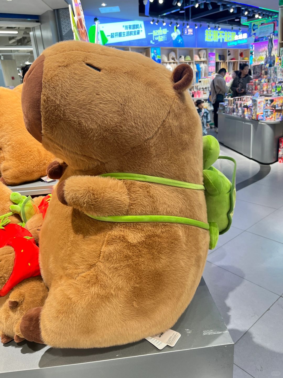 逛街看到的土拨鼠，好可爱‼️