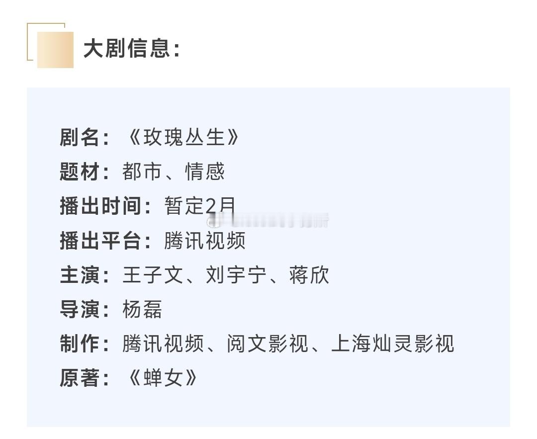 王子文、刘宇宁、蒋欣《玫瑰丛生》招商亮点播出时间：暂定2月 