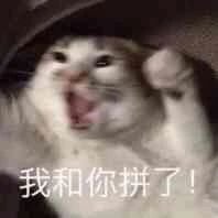 什么意思¿怎么给我男妈妈私藏了？ 