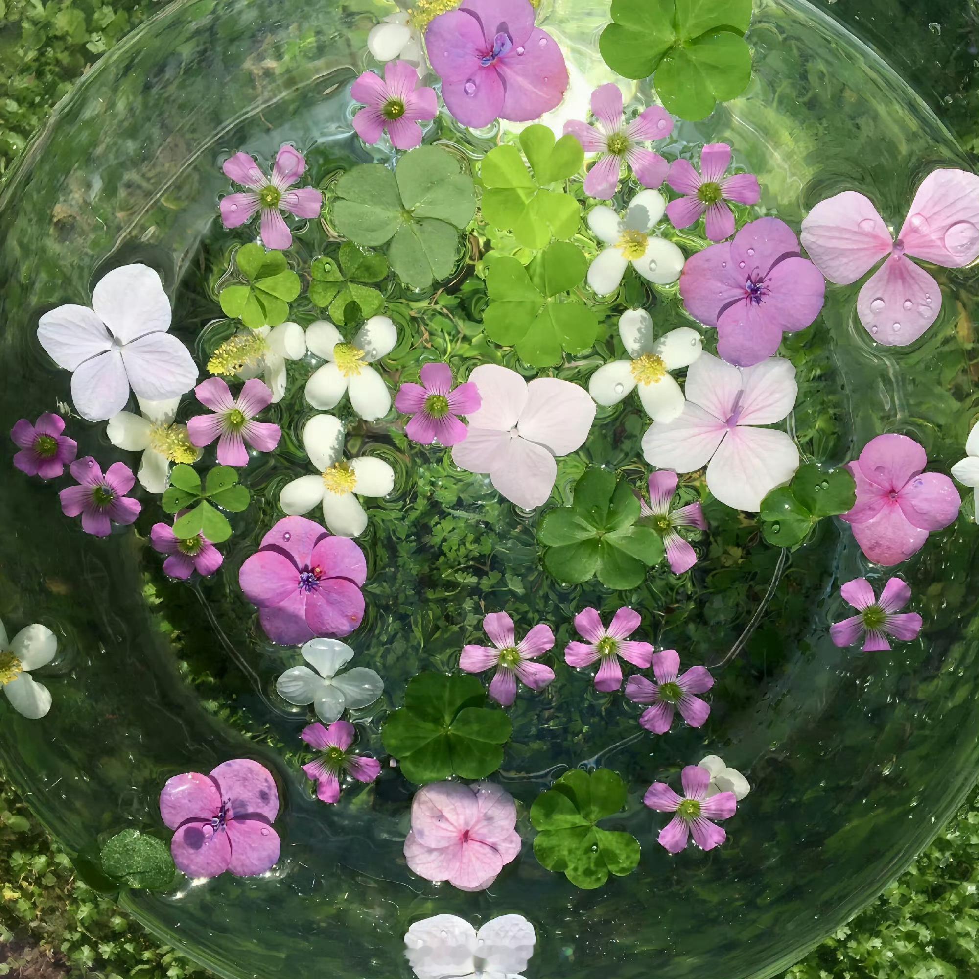 把烦恼化作清风，让快乐住进日常。心怀感恩接纳所有，阳光总会穿过云层照亮心房。 