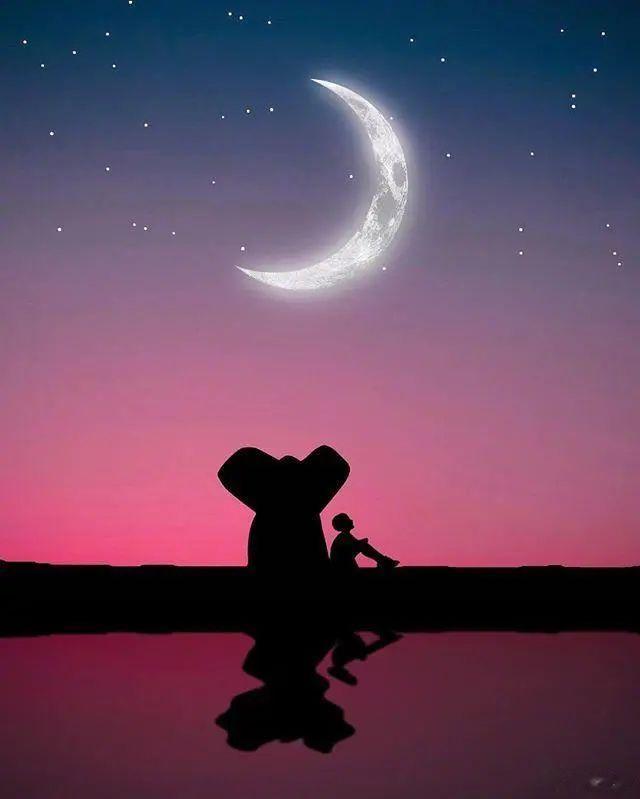 后来发现凉白开喝下去更干净，半夜写出的文字也挺有味道，清晨那碗粥暖胃舒服，痛极后