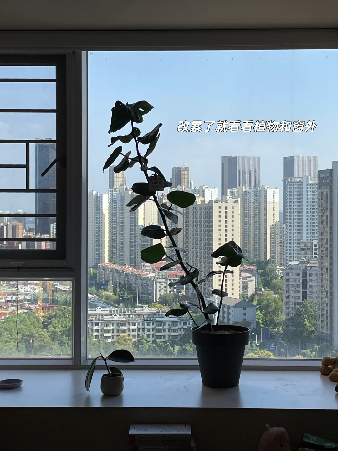 中秋节爆改博论 还有一个月盲审🫡