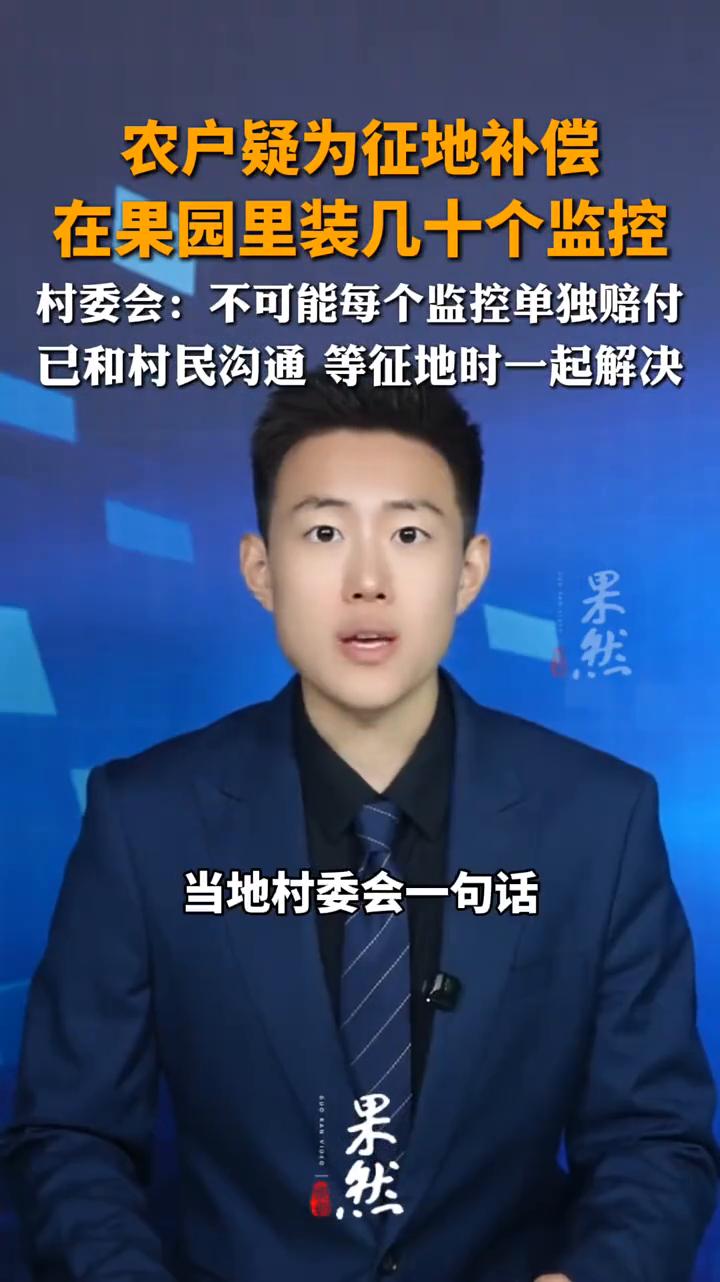 农户疑为征地补偿，在果园里装几十个监控。村委会：不可能每个监控单独赔付，已和村民