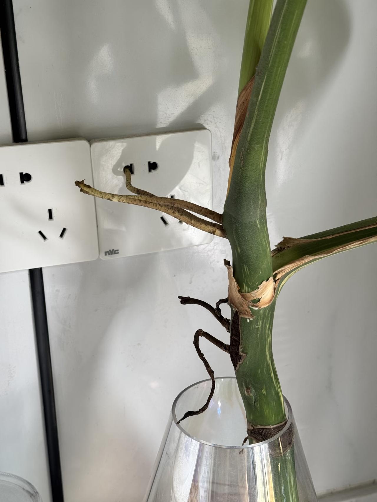 [皱眉]你这是想趁我一不留神，就把我偷偷给带走吗？
[融化]到底哪儿不开心了，你