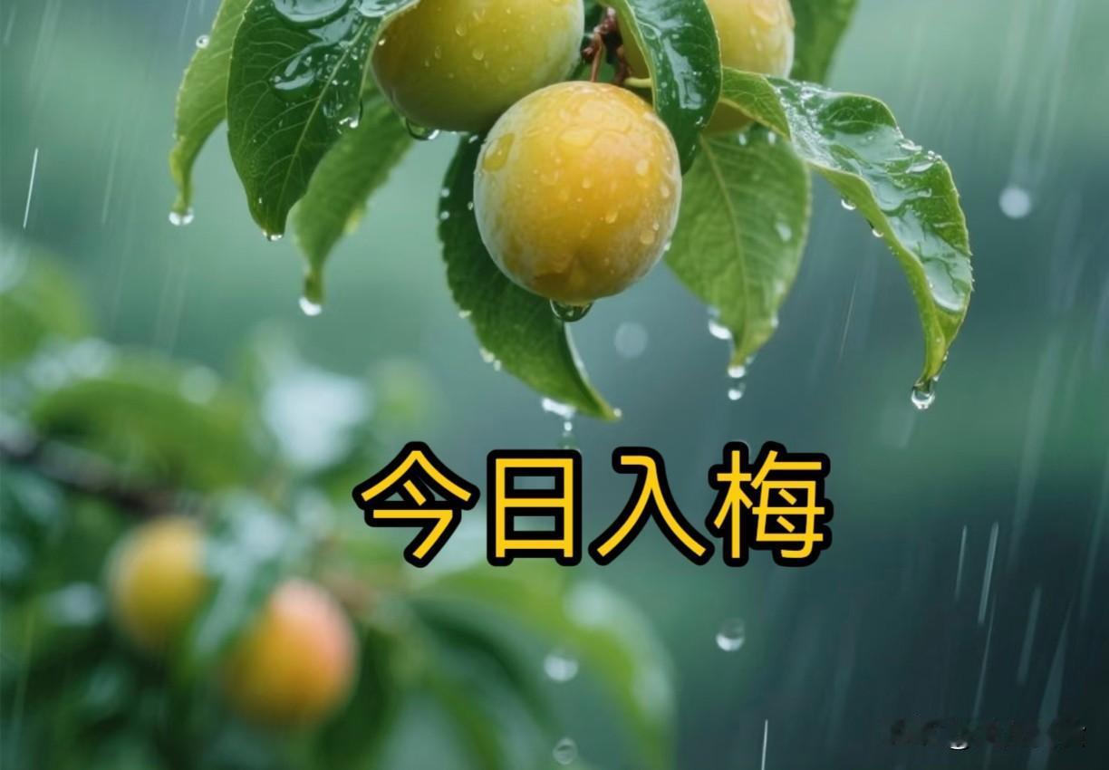 今日入梅是“凶日”，今年入梅牢记3个忌讳：1不吃、2不淋、3不入
 
“黄梅时节