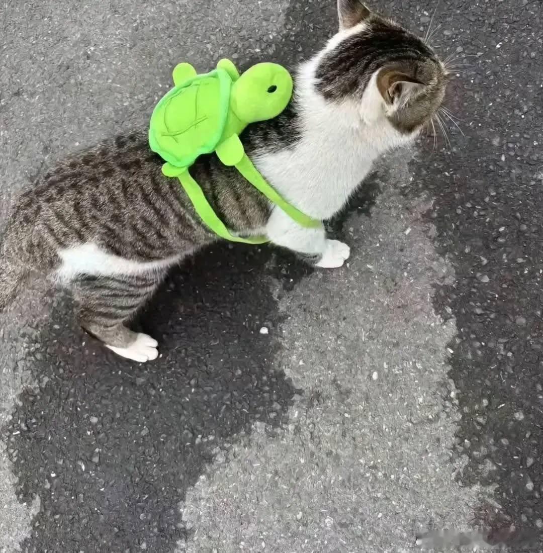 ？？？ 