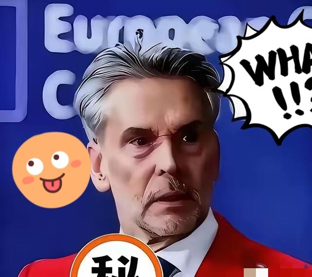 稀土问题上，荷兰放出了一句颇为强硬的话：一旦中国停止供应，荷方不排除动用“一切可