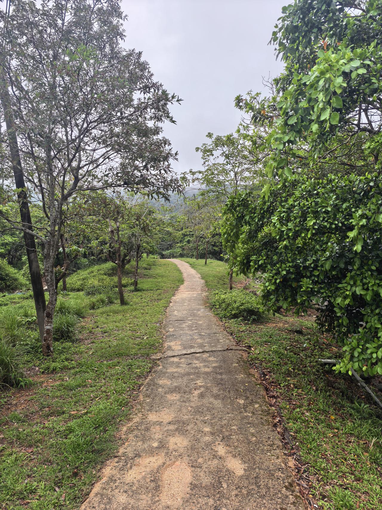 紧急提醒一下明天
明天风浪很急很大，打到粮食的需要立刻靠岸休息，没有打到的要注意