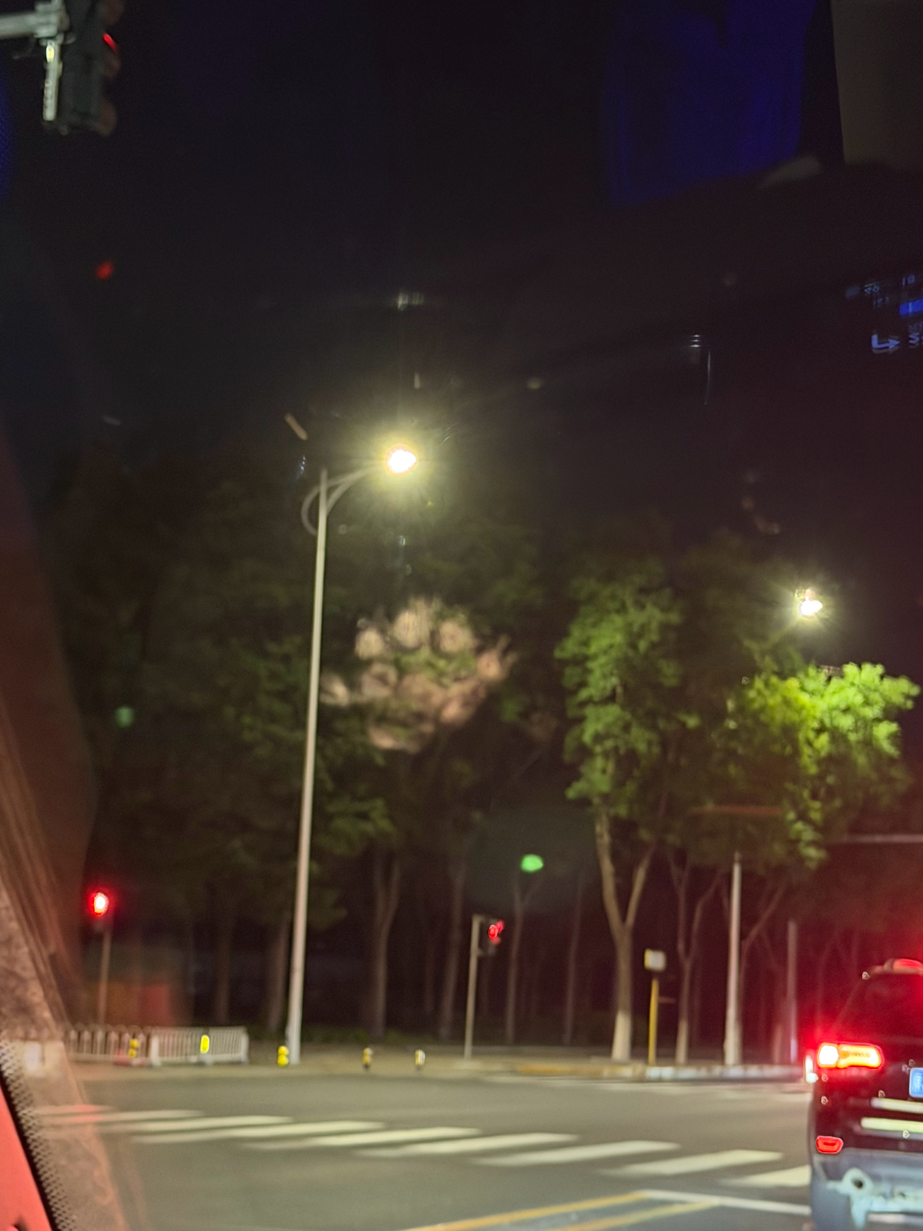 有小猫咪光顾～ 