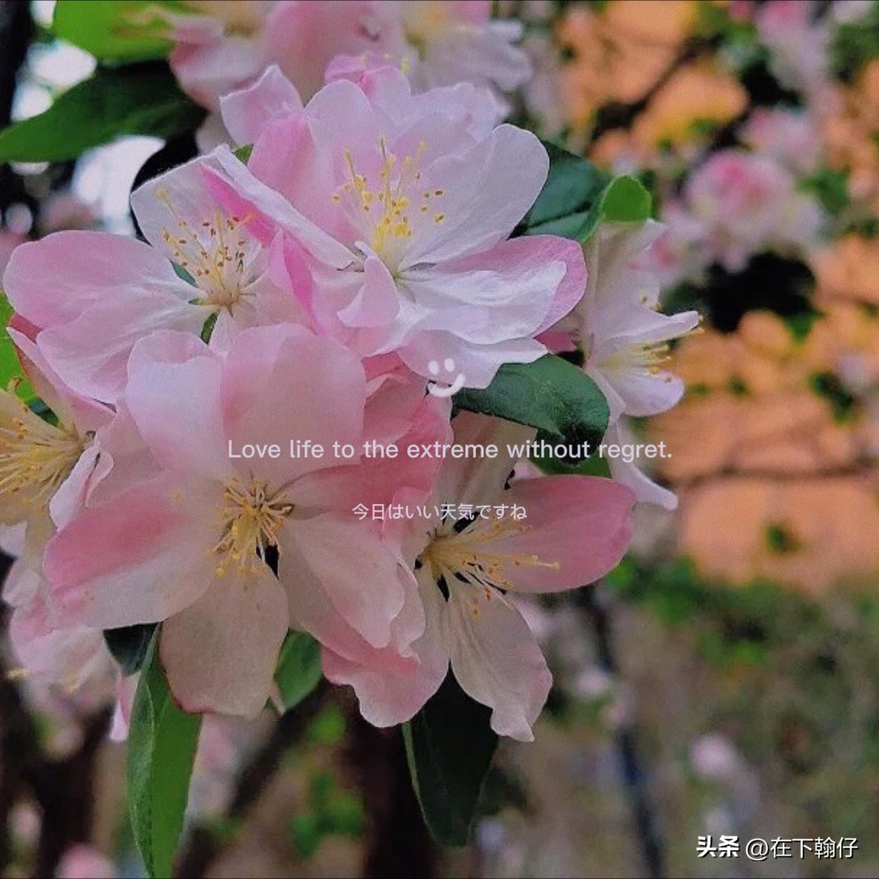 春光明媚，正是出游好时节！2026年四川春假期间，全省超多景区推出重磅免票福利，