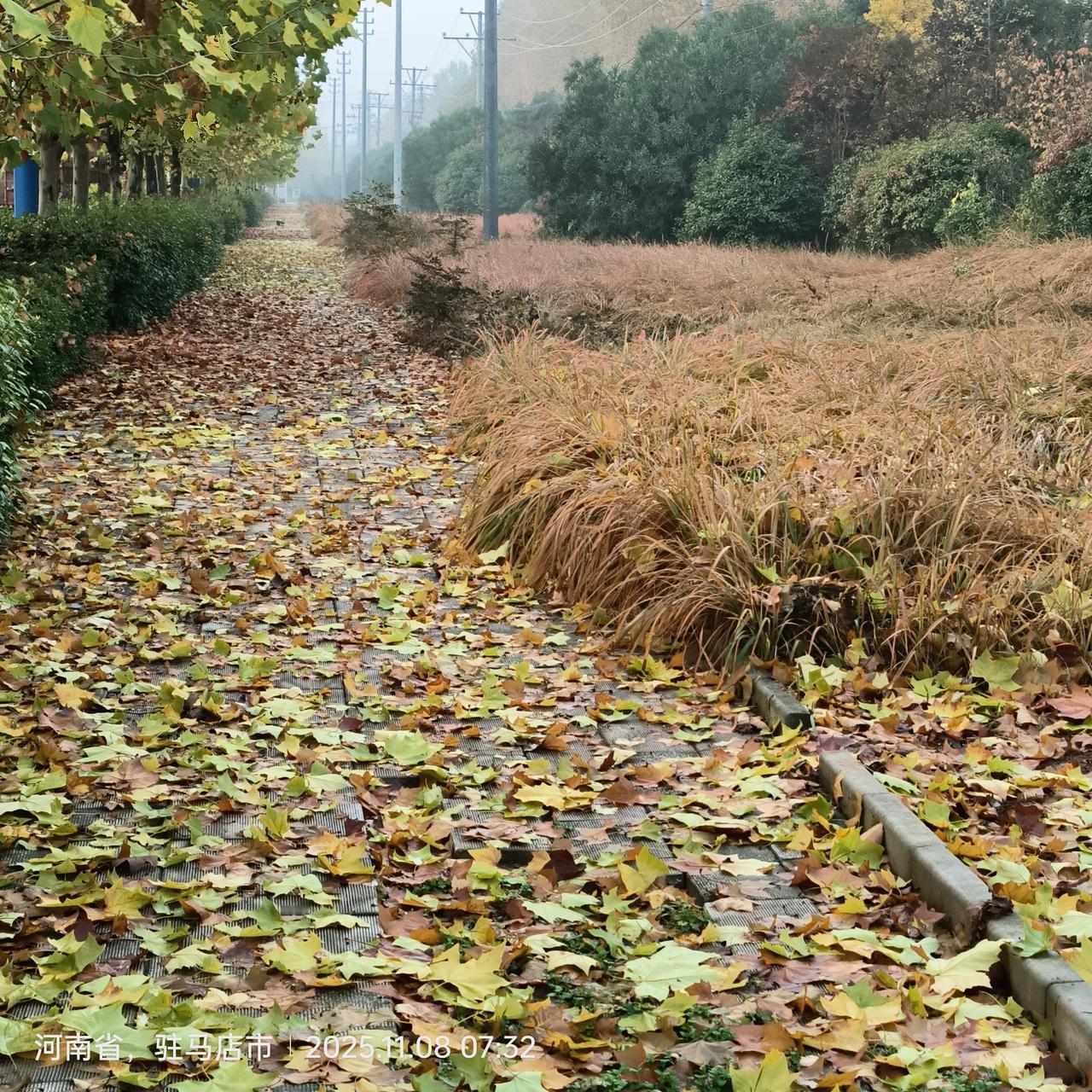 秋风落叶满径，岁月静好如初。人生是一条单行道，别光顾着匆匆赶路，有时放慢脚步，静