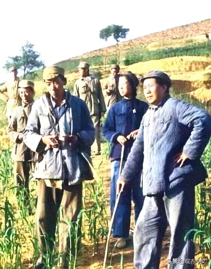 这帧影像鲜少示人，无勋章加身，无仪仗随行，唯有一根朴素木杖，一身征尘风霜。在转战