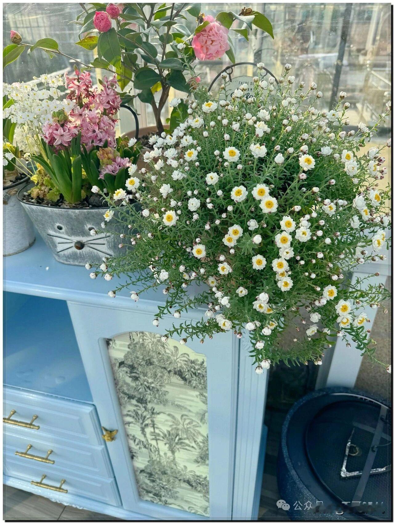 永远不要向别人诉苦
因为他不但帮你解决不了问题，而且会拿此来笑话你。