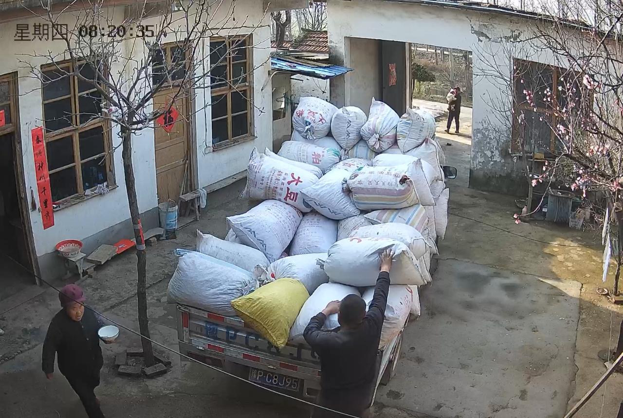 舅家老表干活要不要给钱

父母在老家种了六亩花生，产了有三四千斤，收回来就一直在