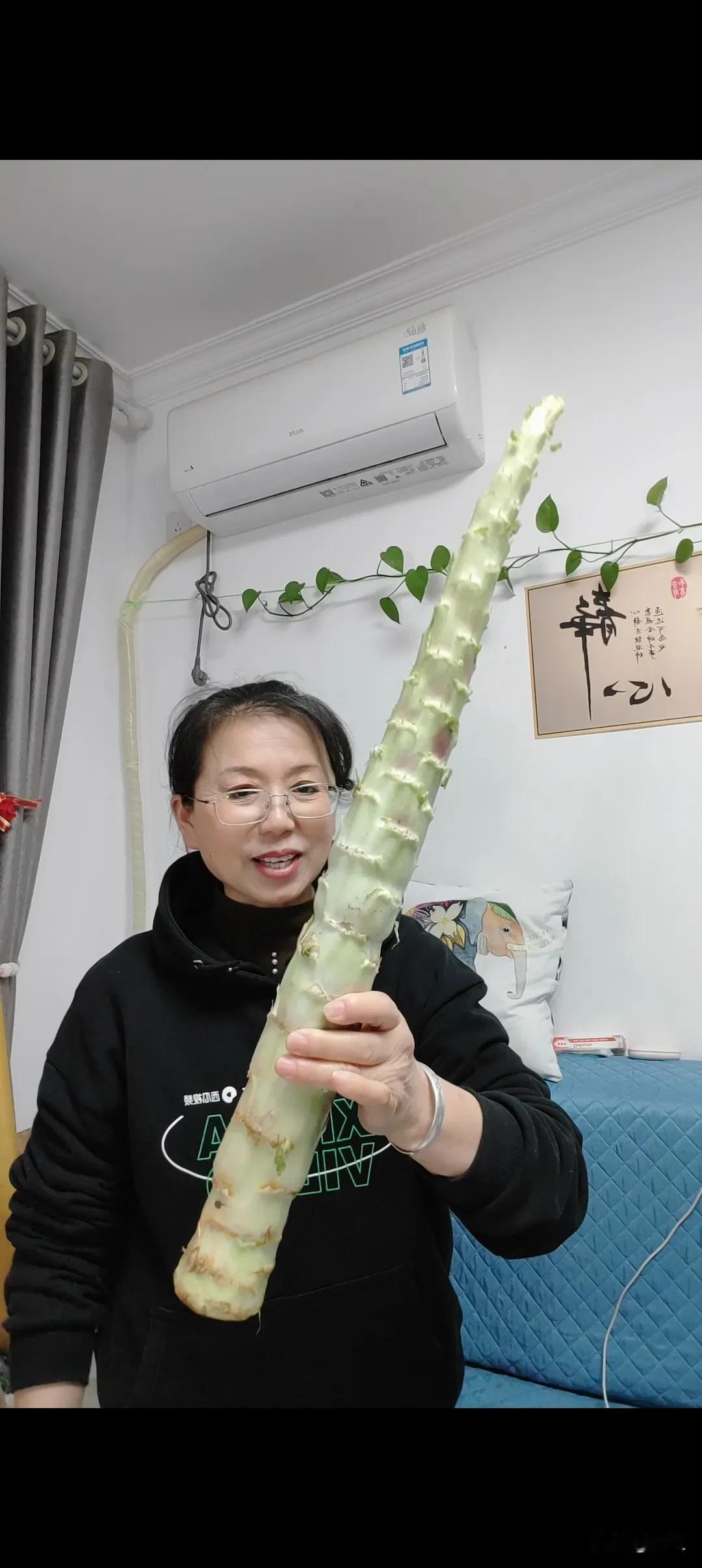 。
为什么好多人都不吃菜叶子呢？
最近莴笋旺市的季节，有的超市卖一元五六左右，有