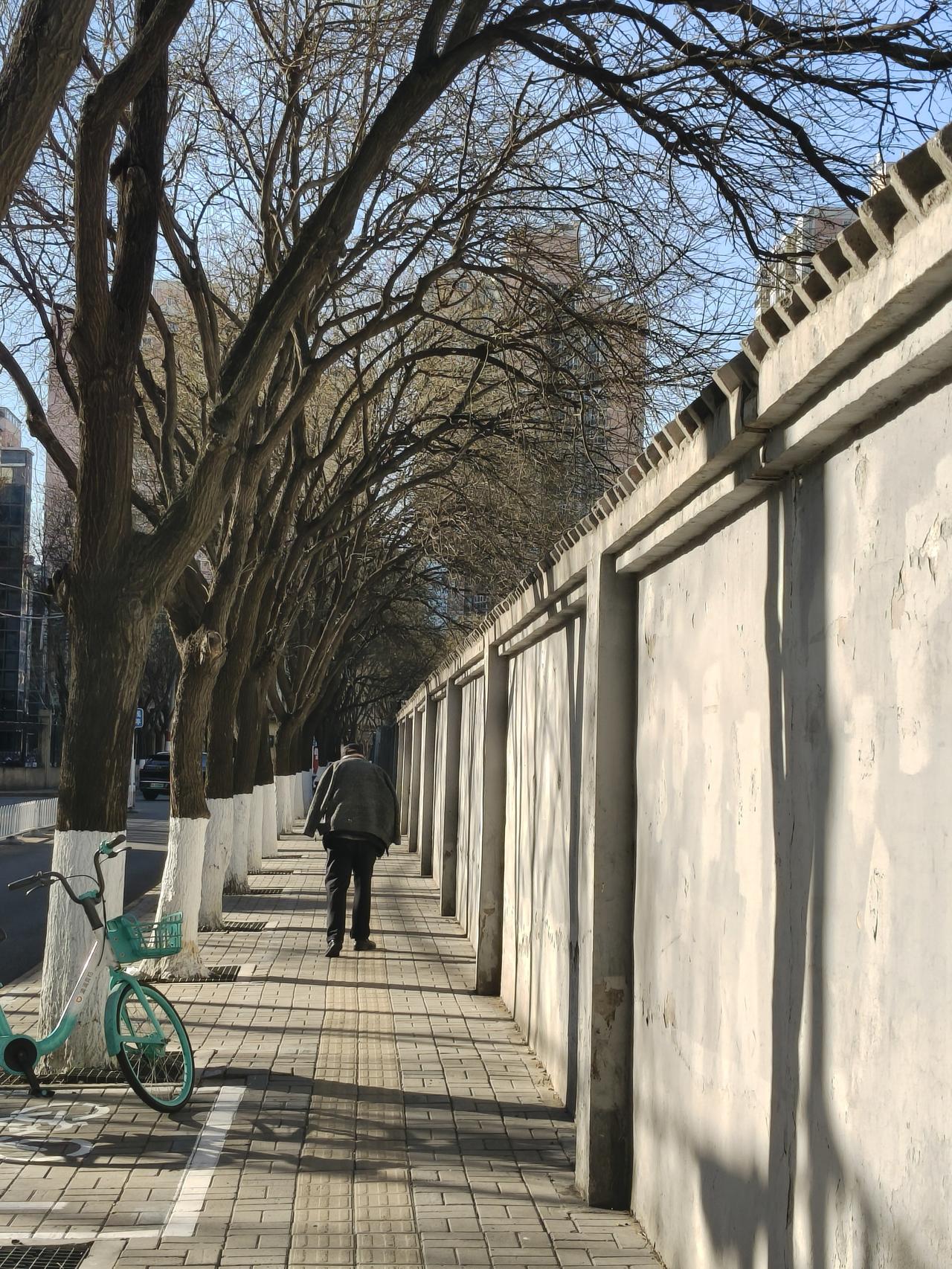 新的一年想多陪陪谁连续在北京多年，新年想回家陪一陪家人和亲人！