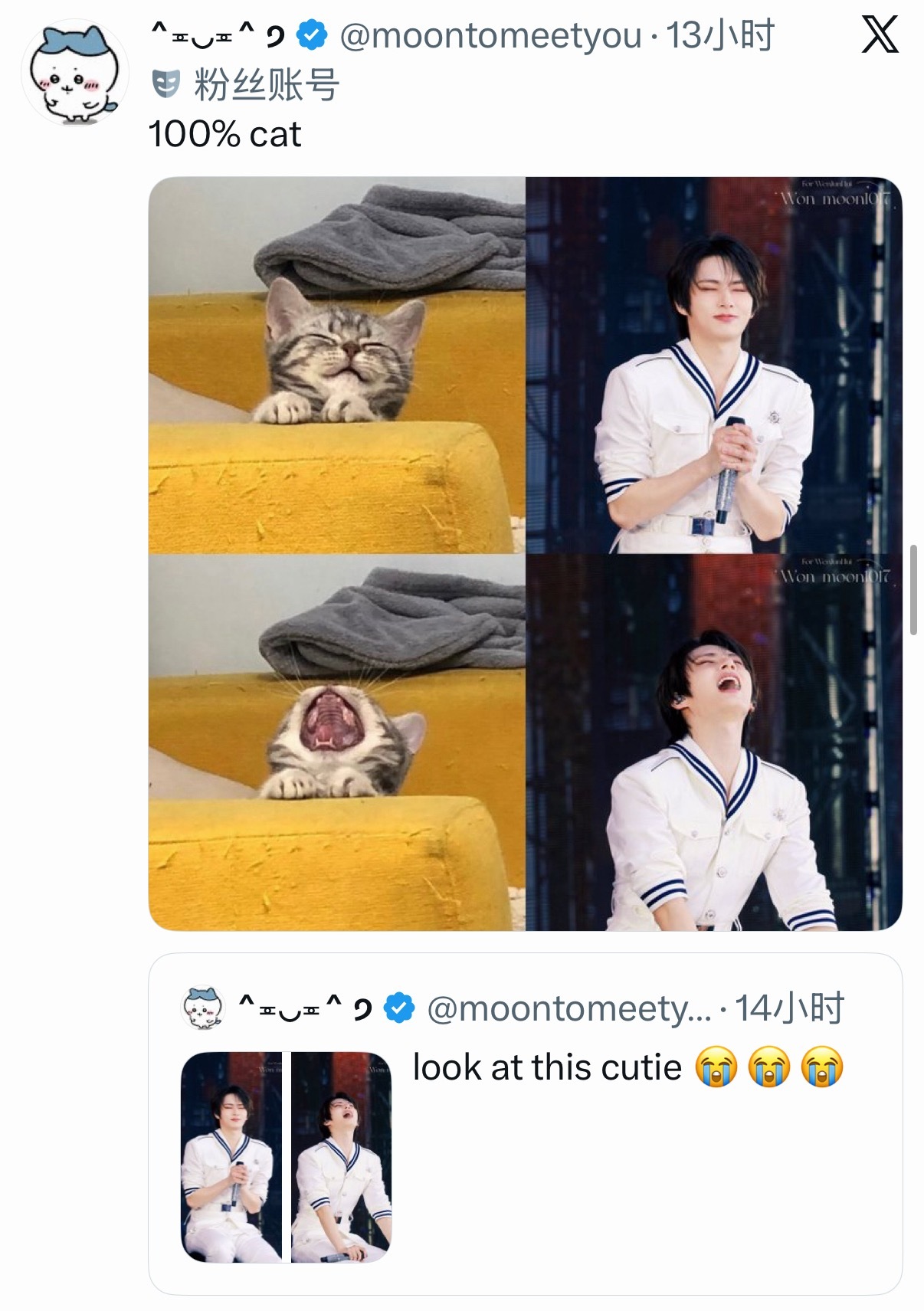 美好的星期六，看小咪 
