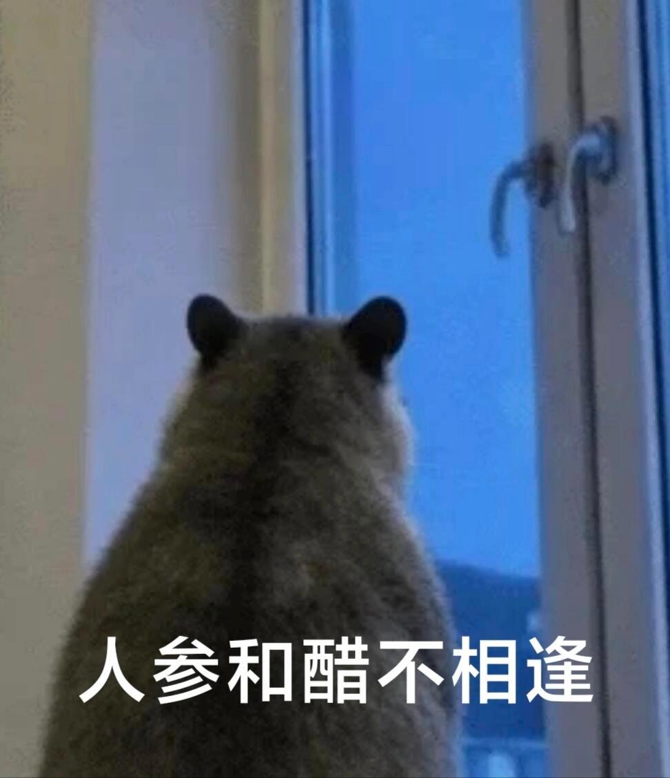 表情包分享，突然在🍠🔥起来的，存了一点，想要的存
