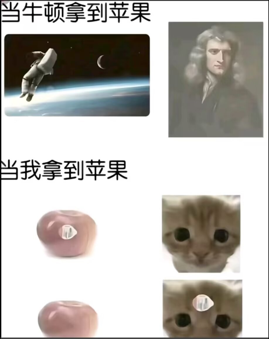9548我和牛顿的区别 