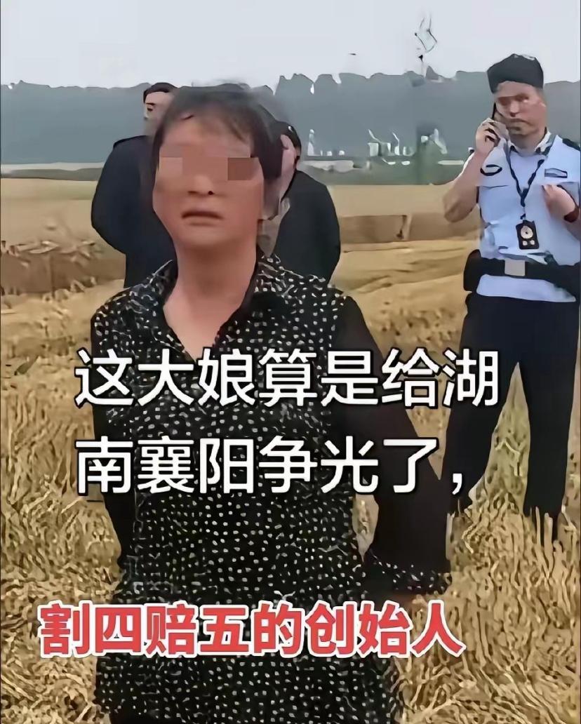 襄阳火了，这次不是因为郭靖黄蓉，而是因为收麦。[捂脸][捂脸]

其实事情没有想