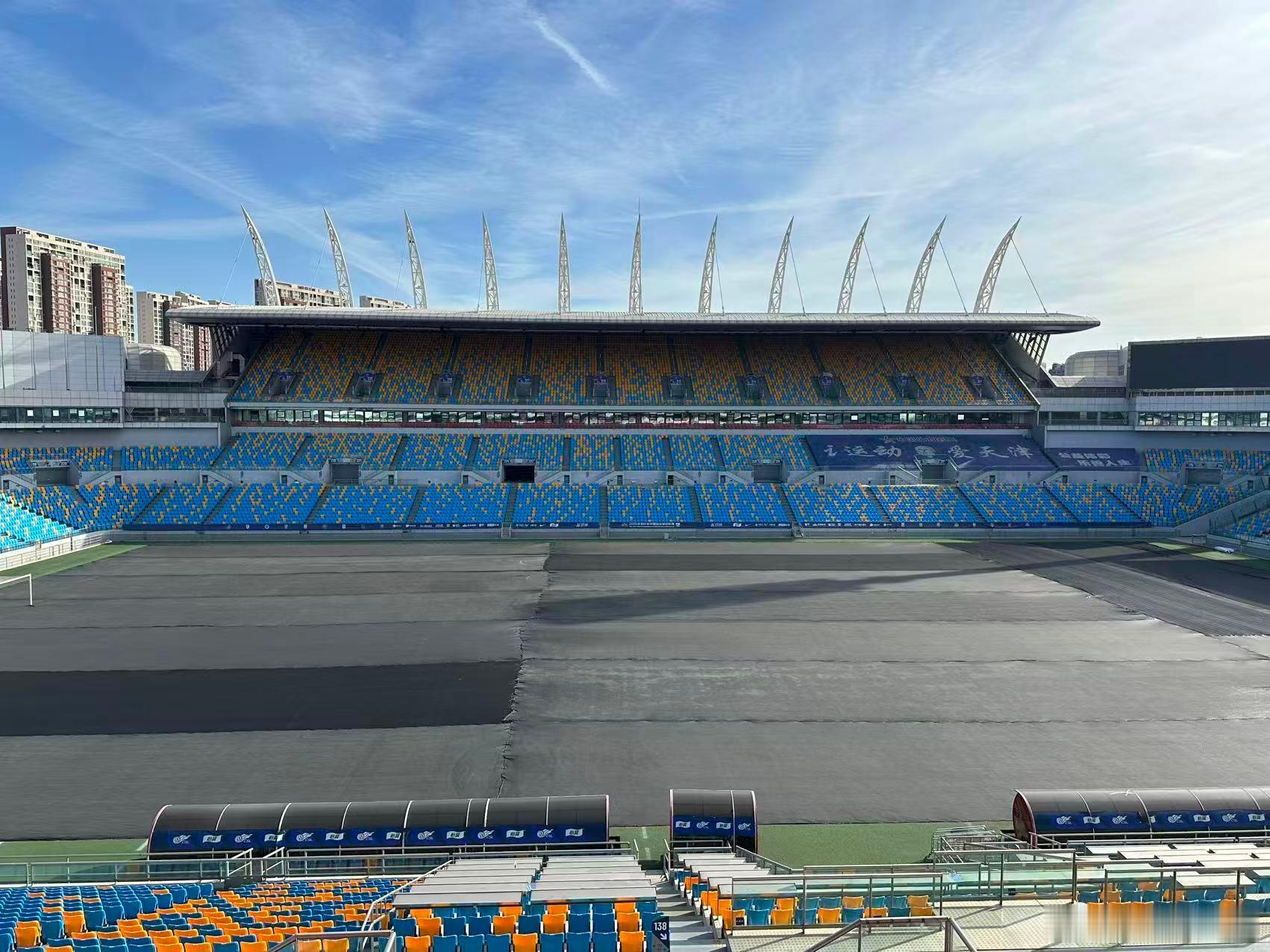 泰达足球场，已经养护“盖被”啦。静等下赛季啦天津津门虎为了天津永远进攻